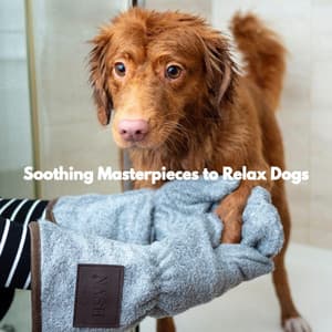 Soothing Masterpieces to Relax Dogs - Soft Restaurant Jazz Playlist