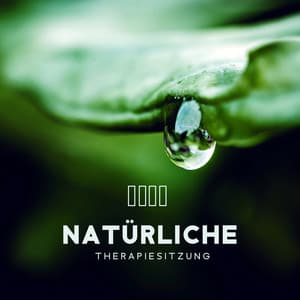 Natürliche Therapiesitzung - Meditationsmusik Sammlung
