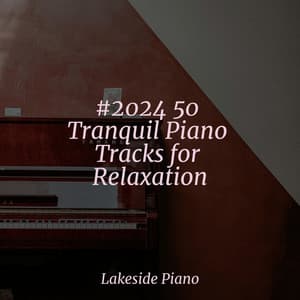 #2024 50 Tranquil Piano Tracks for Relaxation - SD