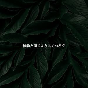 植物と同じようにくつろぐ - Work from Home Groove