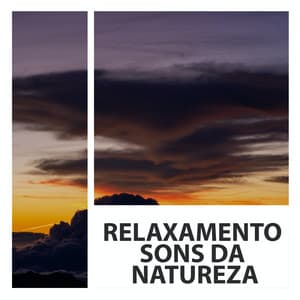 Relaxamento Sons Da Natureza - Sons da Natureza & Relaxamento