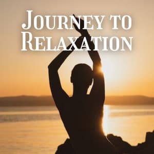 Journey to Relaxation - The Deep Sleep Music Academy