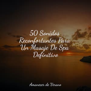 50 Sonidos Reconfortantes Para Un Masaje De Spa Definitivo - Sonido de lluvia