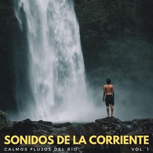 Sonidos De La Corriente: Calmos Flujos Del Río Vol. 1 - Sonido del Agua Ruido Blanco Natural