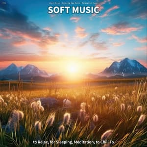 #01 Soft Music to Relax, for Sleeping, Meditation, to Chill To - Quiet Music