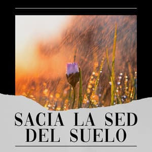 Sacia la Sed del Suelo - Lluvia para un sueño profundo