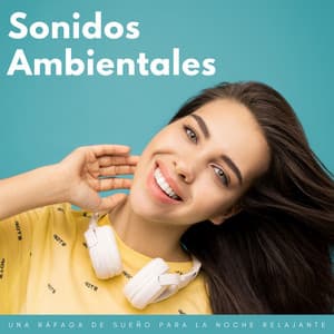 Sonidos Ambientales: Una Ráfaga De Sueño Para La Noche Relajante - Estrellita Dónde Estás