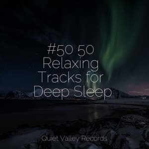 #50 50 Relaxing Tracks for Deep Sleep - Rain Drops for Sleep