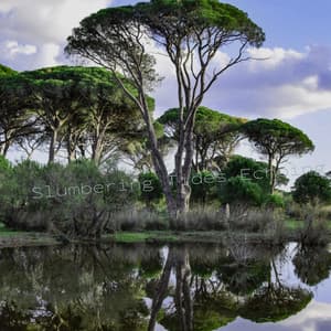 Slumbering Tides Echoing - Lumenis