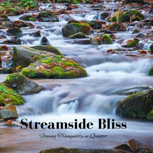 Streamside Bliss: Flowing Tranquility in Quintet - Snow and Creeks