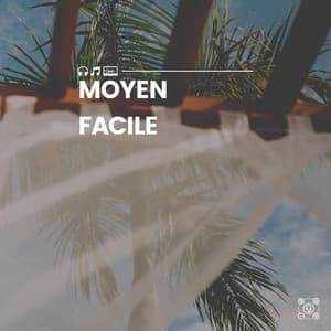 Moyen facile - Attrape-rêves oasis