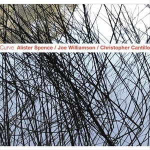 Curve - Alister Spence