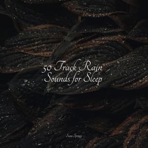 50 Track Rain Sounds for Sleep - Lullabies for Deep Meditation
