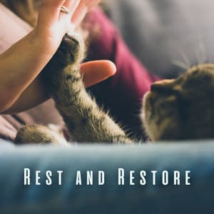 Rest and Restore: Guided Meditations for Mindful Cats - Relaxing Music for Cats