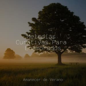 Melodías Curativas Para Enamorados - Musica Relajante & Yoga