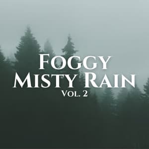 Foggy Misty Rain Vol. 2 - The Rain Library