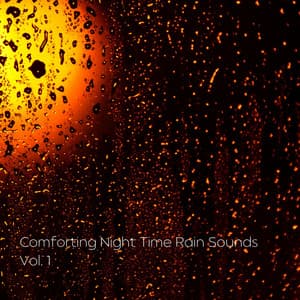 Comforting Night Time Rain Sounds Vol. 1 - Recorder Rain