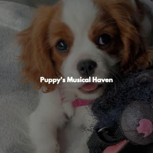 Puppy's Musical Haven - Coffee Shop Smooth Jazz