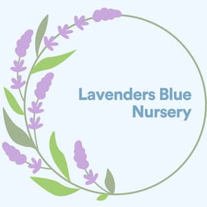 Lavenders Blue Nursery - Baby Lullabies Music