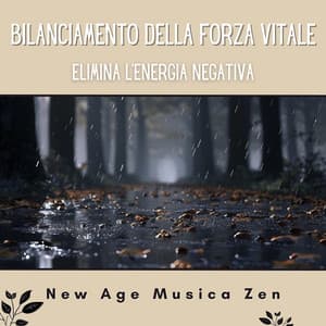 Bilanciamento della forza vitale - Elimina l'energia negativa - New Age Musica Zen