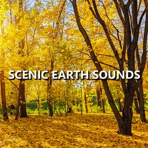 Scenic Earth Sounds - Earth Sounds
