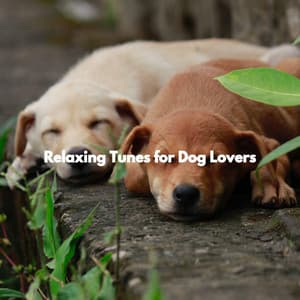 Relaxing Tunes for Dog Lovers - Easy Listening Sunday Morning Music