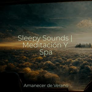 Sleepy Sounds | Meditación Y Spa - Música para Correr