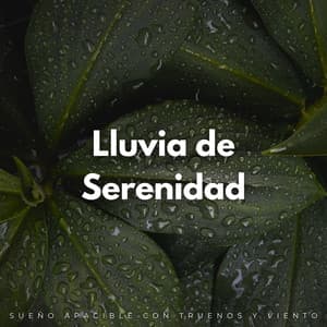 Lluvia De Serenidad: Sueño Apacible Con Truenos Y Viento - Sueño Profundo Lluvia y Truenos