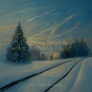 Calming Sounds for Relaxing Music - Soothing Sounds