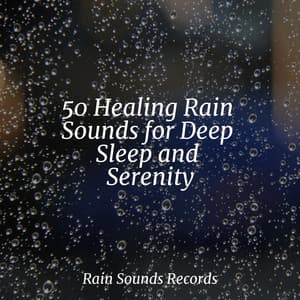 50 Healing Rain Sounds for Deep Sleep and Serenity - New Age