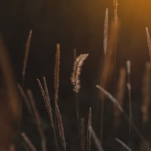 Deep Sleep Tracks for Ultimate Spa Mindfulness - The Sleep Specialist