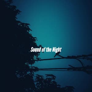 Sound of the Night - Luxury Restaurant Music