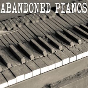 ABANDONED PIANOS - Gutter Keys