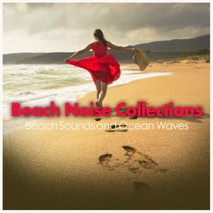 Beach Noise Collections - Beach Sounds and Ocean Waves