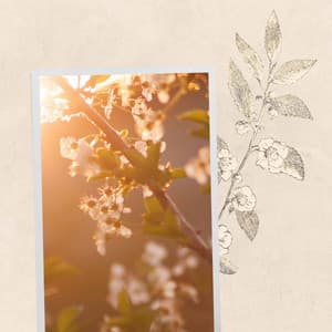 Deluxe Bgm for Chilled June Nights - Vancouver Jazz Band