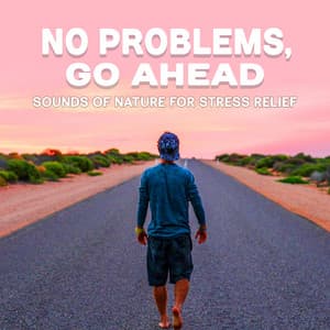 No Problems, Go Ahead: Sounds of Nature for Stress Relief, Meditation Relaxation Techniques, Anxiety Free, Healing Sound Therapy, Positive Energy - Absolutely Relaxing Oasis