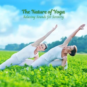 The Nature of Yoga: Relaxing Sounds for Serenity - American Native