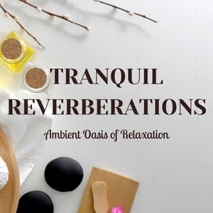 Tranquil Reverberations: Ambient Oasis of Relaxation - Calm Vibes