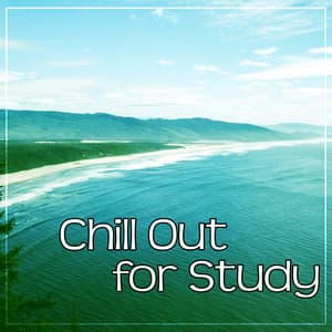 Chill Out for Study - Easy Listening Chill Out Music, Soft Background Music for Study, Easy Study, Faster Learning, Music to Be Clever - Exam Study Chillout