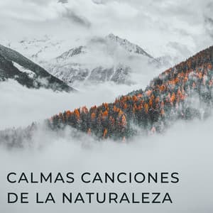 Calmas Canciones De La Naturaleza - Radio Sonidos de la Naturaleza