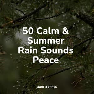 50 Calm & Summer Rain Sounds Peace - Nature & Sounds Backgrounds