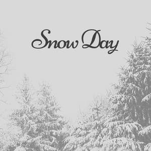 Snow Day - Sampling XL