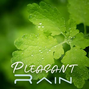 Pleasant Rain: Soothing and Calming Atmosphere - Quiet Music Oasis