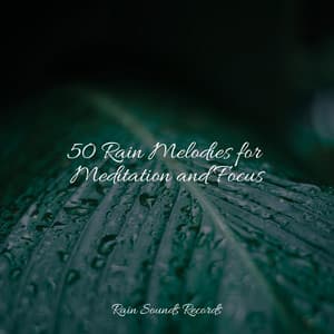 50 Rain Melodies for Meditation and Focus - Rain Sounds & White Noise