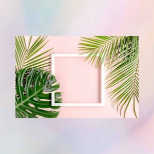 Echoes of Study and Summers - Popular Jazz Coffee Break