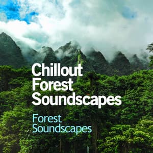 Chillout Forest Soundscapes - Forest Soundscapes