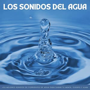 Los Sonidos Del Agua: Los Mejores Sonidos De Corrientes De Agua Para Sanar Tu Mente, Cuerpo Y Alma - Aguas Pura