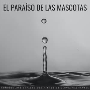 El Paraíso De Las Mascotas: Sonidos Ambientales Con Ritmos De Lluvia Calmantes - Silenciador de Ruido