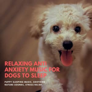 Relaxing Anti Anxiety Music for Dogs to Sleep: Puppy Sleeping Music, Soothing Nature Sounds, Stress Relief - Dog Bedtime