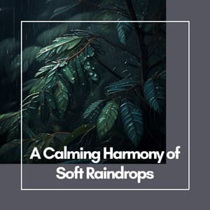 A Calming Harmony of Soft Raindrops: Flute Music for Peaceful Reflection - Relax Flute Music